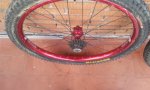 20130314_181801.jpg