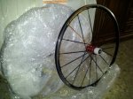 IMG-20121112-WA0008.jpg