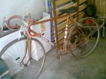 Bici1.jpg