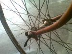 Bici4.jpg