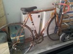 Bici6.jpg