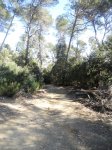 DSCN1399.JPG