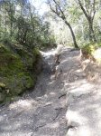 DSCN1403.JPG