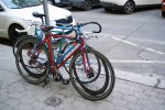 DSC01390.JPG