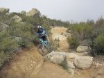 IMG_1172.jpg