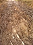 IMG_20130331_135809.jpg