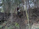 2013-03-29-398.jpg