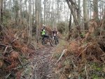 2013-03-29-400.jpg