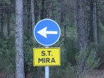 IMG_1013.JPG