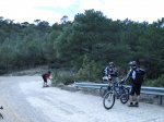 IMG_1019.JPG