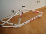 DSC00564.JPG