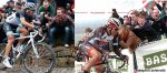 261-flanders-fan.jpg