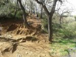 20130329_113554.jpg