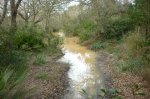 Image00003.jpg