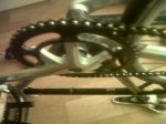 IMG-20130403-00211.jpg