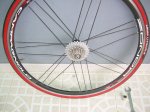 DSCN9018.JPG