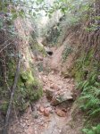 DSCN1458.JPG