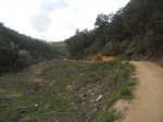 DSCN1432.JPG