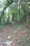 IMG-20120930-WA0003.jpg