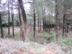 DSCN1439.JPG