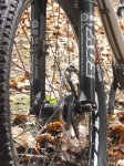 DSCN1445.JPG