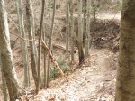 DSCN1446.JPG