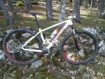 29er1.jpg