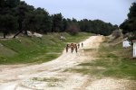 IMG_8294.jpg
