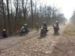 Foret d'Arenberg.jpg