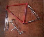pinarello.jpg