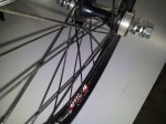 20130403_200356.jpg