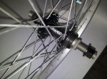 20130403_200304.jpg