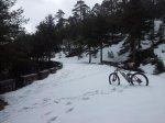 IMG_20130404_112914.jpg