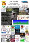 cartel carrera 2013.jpg