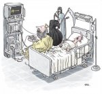 humor-grafico-vida-muerte.jpg