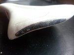 20130405_100141.jpg