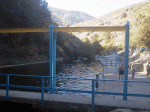 vadillo1.gif