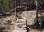 salto2_172.jpg