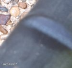 IMAG0129.JPG