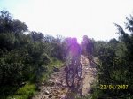 100_3253r.jpg
