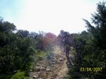 100_3267.jpg