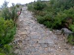 Imagen028.jpg