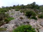 Imagen031.jpg