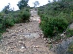 Imagen034.jpg