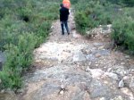 Imagen038.jpg