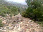 Imagen036.jpg