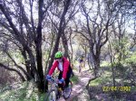 100_3303r.jpg