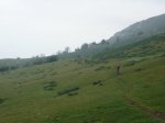 P1020525.jpg