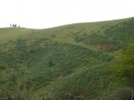 P1020530.jpg