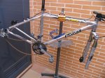 bici msc 001.JPG